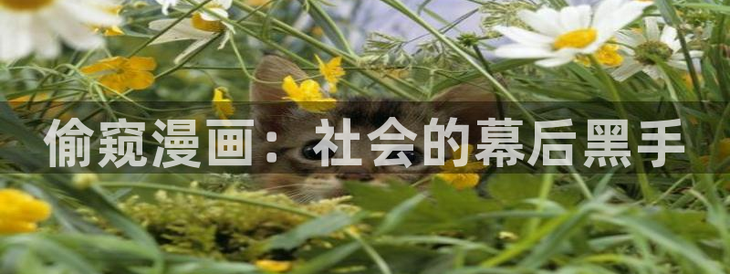 漫画之家吧